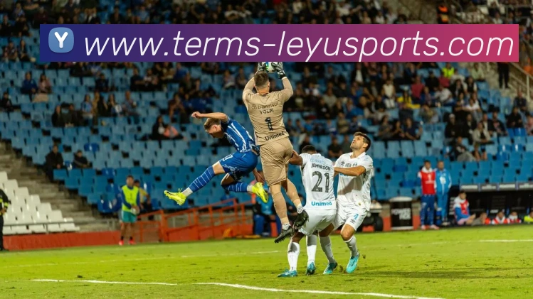 乐鱼体育APP 高清赛事图